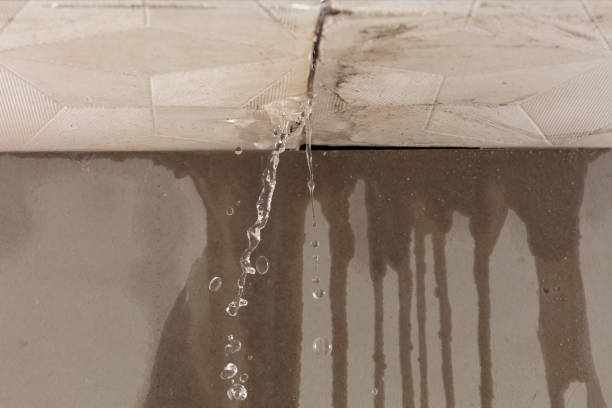 Professional Water Damage Inspection technician working in Vernon Center, MN